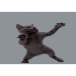 Dancing Cat Box [ANIMATED]