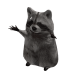 Dancing Raccoon