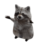 Dancing Raccoon Costume
