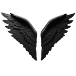 Dark angel black wings