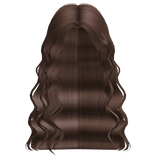 Dark Brown Half Tucked Wavy Hair