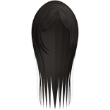 Dark Brown Long Straight Hair W Curtain Bangs