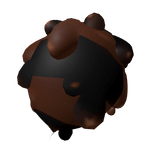 Dark brown slime bee abdomen / Tail