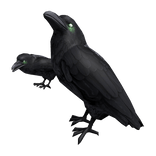 Dark Ravens