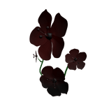 Dark Red Flowers Covering Half Face