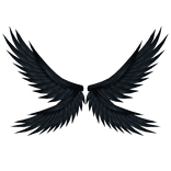 Dark Shadow Raven Wings