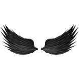 Dark Wings