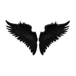 Dark Wings