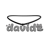 david 3.0 necklace kitty