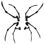 Deceased Black Spider Legs