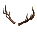 Deer Antlers