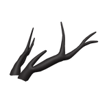 Deer Antlers