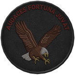 DELTA / CAG - C Squadron "Eagle" Patch