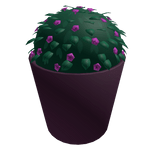 Derpy Tiger Plant - Flower 🪴