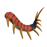 Desert Centipede Tail