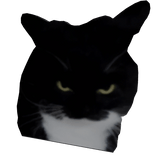 Devious Little Fella |  Right Shoulder Cat Pet