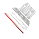 Diccionario Larousse