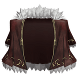 Director Xiao's Coat