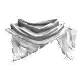 Distressed Torn Scarf - White