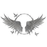  Divine Feathered Angel Wings