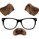 Dog face