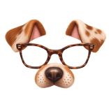 Dog Face Filter