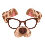 Dog Filter