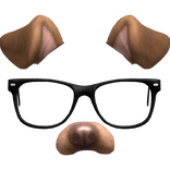 Dog filter with glasses
