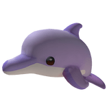 Dolphin Buddy