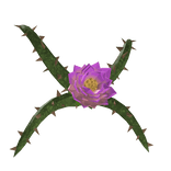 DOORS - Lotus On Your Back