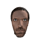 Dr. House