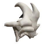 Draedon "Canonical" Style Back