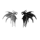 Dragon Wings Black & White