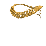dynan chain