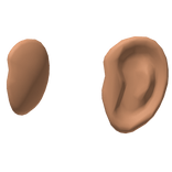Ears