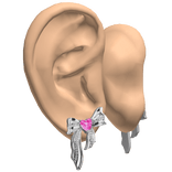 Ears w Silver Ribbon Earrings 