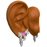 Ears w Silver Ribbon Earrings 