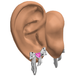 Ears w Silver Ribbon Earrings 