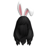 Easter Bunny Anime Fluffy Black Hair