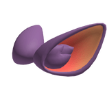 Eastern Dragon Ears (Purple)