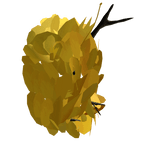 E.G.O::Spicebush Face part