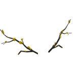 E.G.O::Spicebush Wings