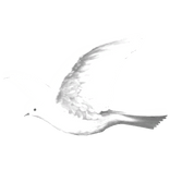 Emissive Dove