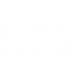 [Emissive] Eternal Radiance Wings