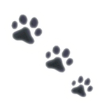 Emissive glowing cat paws glow