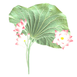 Emissive Glowing Pink Lotus Parasol Leaf Umbrella
