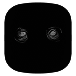 Entity Head
