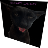 EPIC CAT LARRY