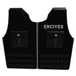 Erciyes public safety 2
