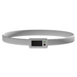 白夜 凛音 ; euphoria VISUAL NOVEL collar 3.0